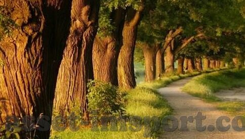 国外玩德州扑克的软件-跨越国界的德州扑克软件体验
