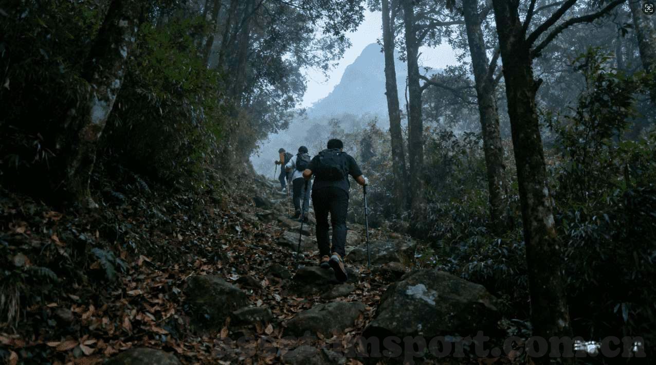 世界杯竞猜投注赔率-世界杯竞猜投注赔率，智慧与运气的碰撞